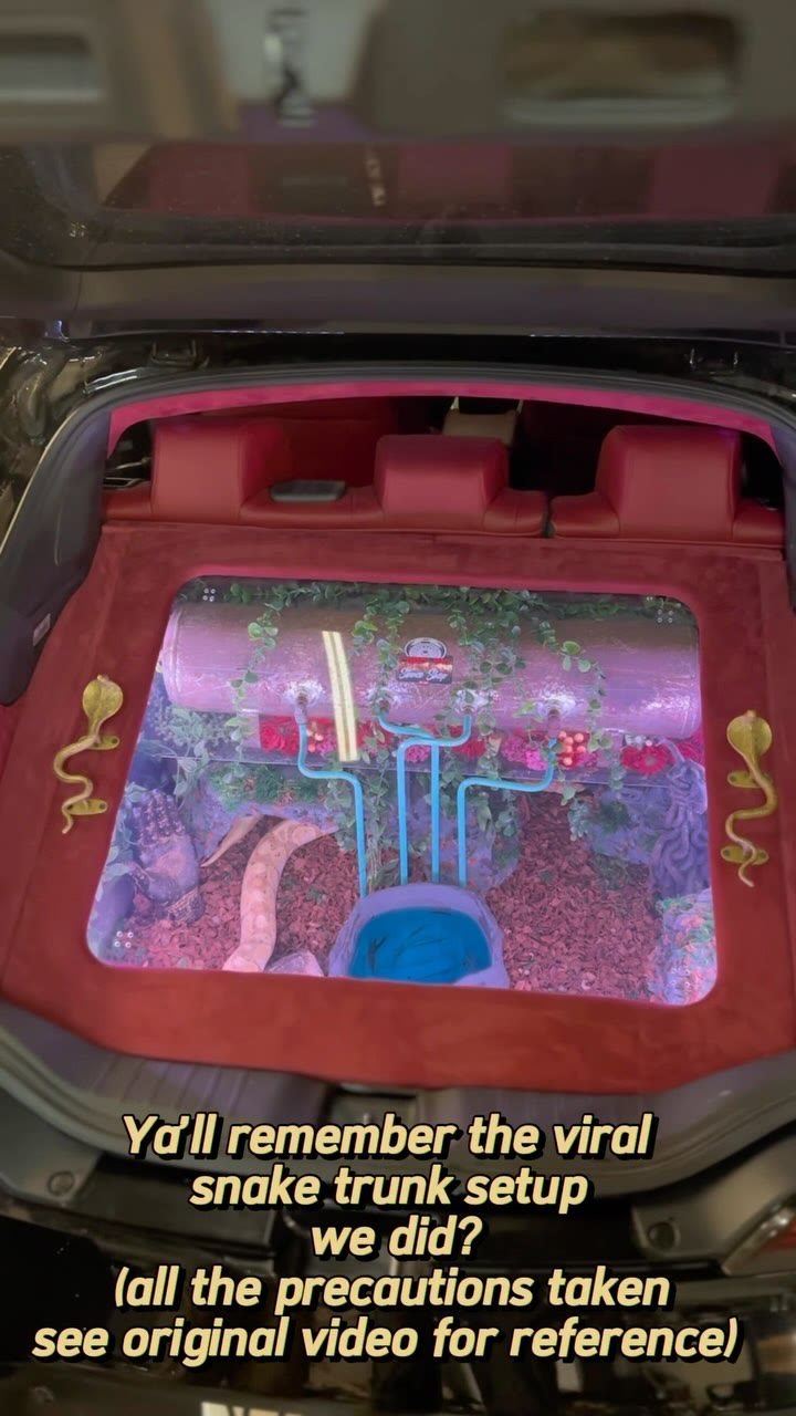 Custom show trunk — polished air tank, hardlines and LED lighting.